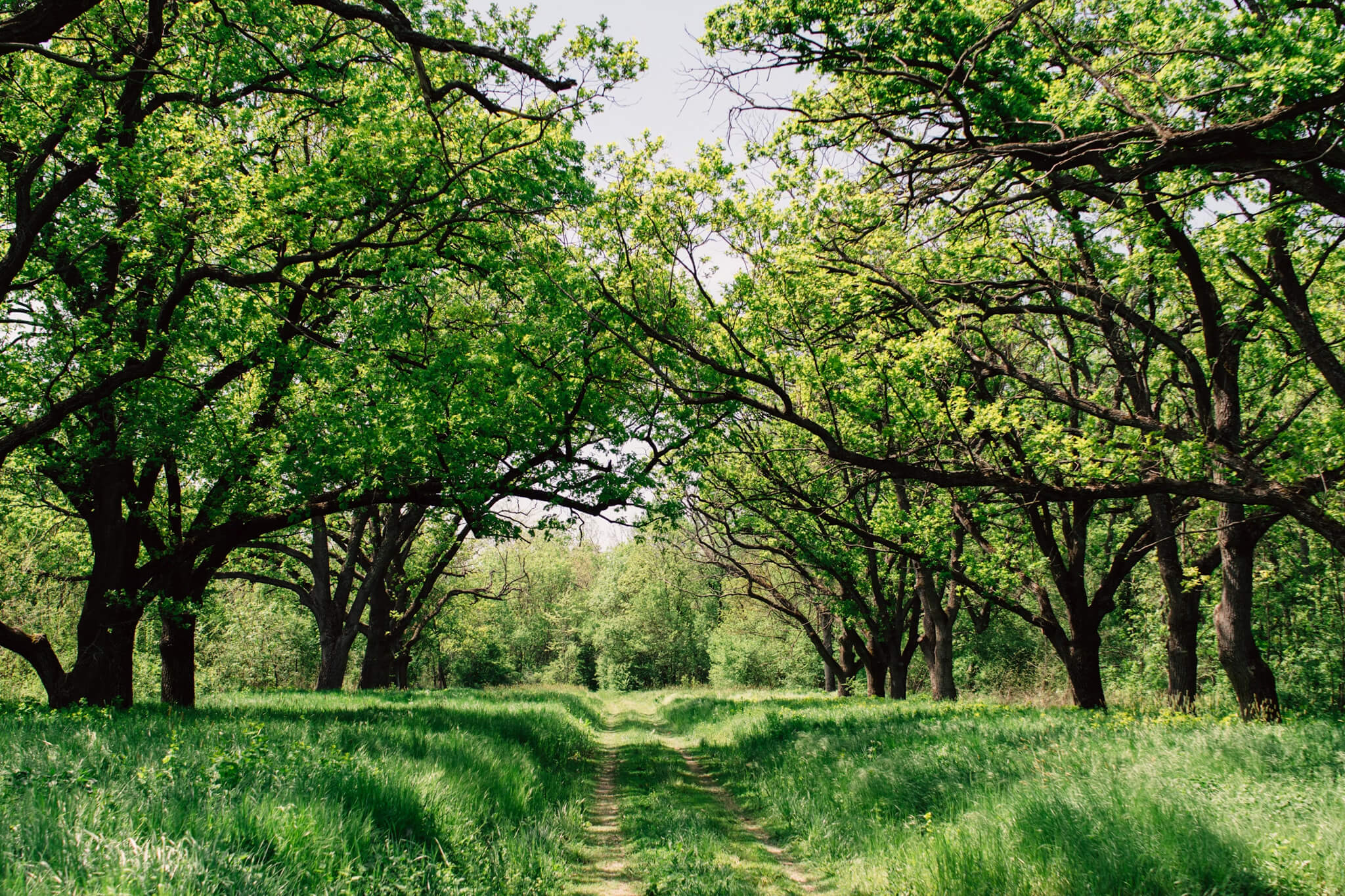 Nature & Weather: くそ Explore Your Mind [DVD](中古品) 