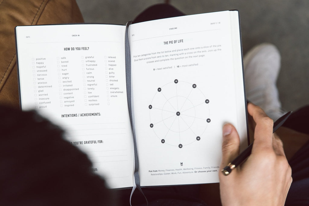 The Complete Guide To The Pie Of Life - MindJournal